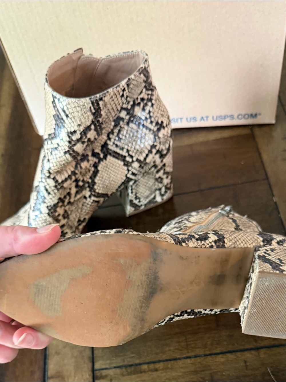 Steve Madden Snake-Print Ankle Shorts in Beige and Black - Picture 4 of 4